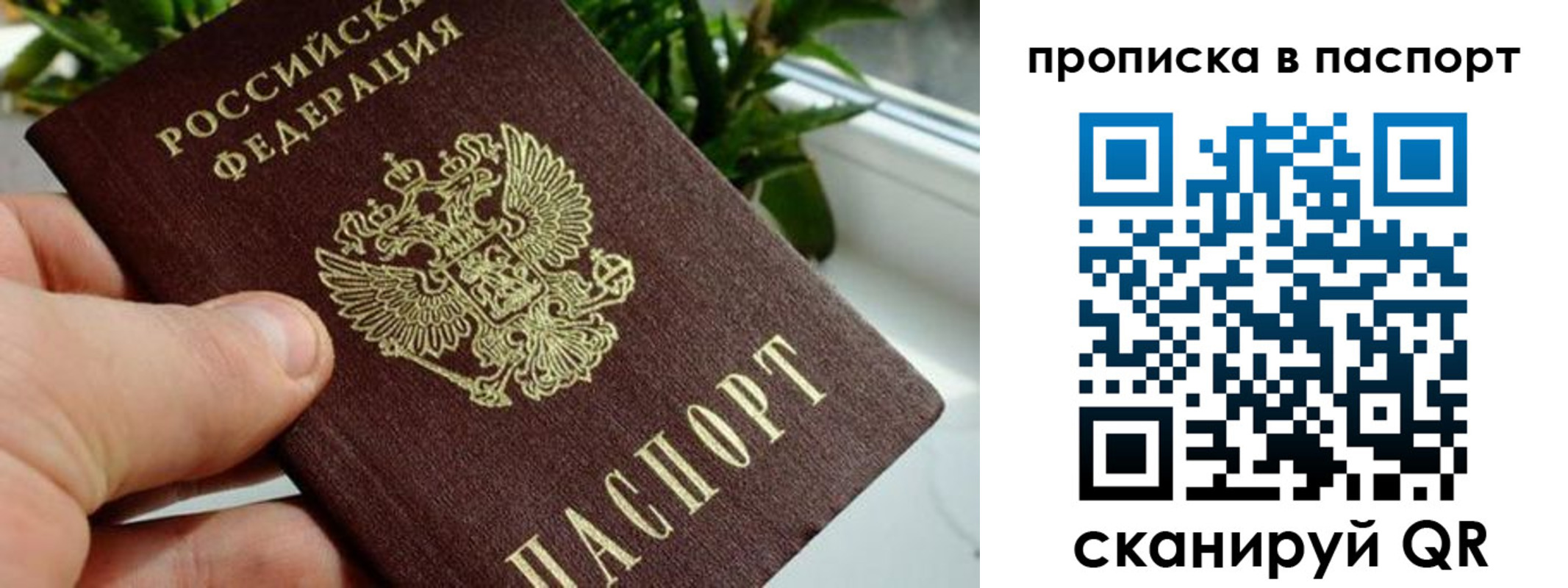 пропишу в квартире в Ульяновске